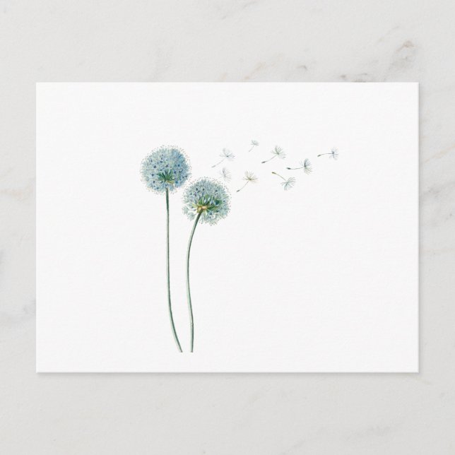 Dandelion Postcard Postkarte (Vorderseite)