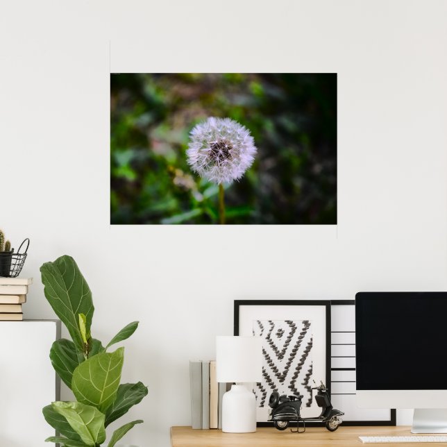 Dandelion, Poster (Heimbüro)