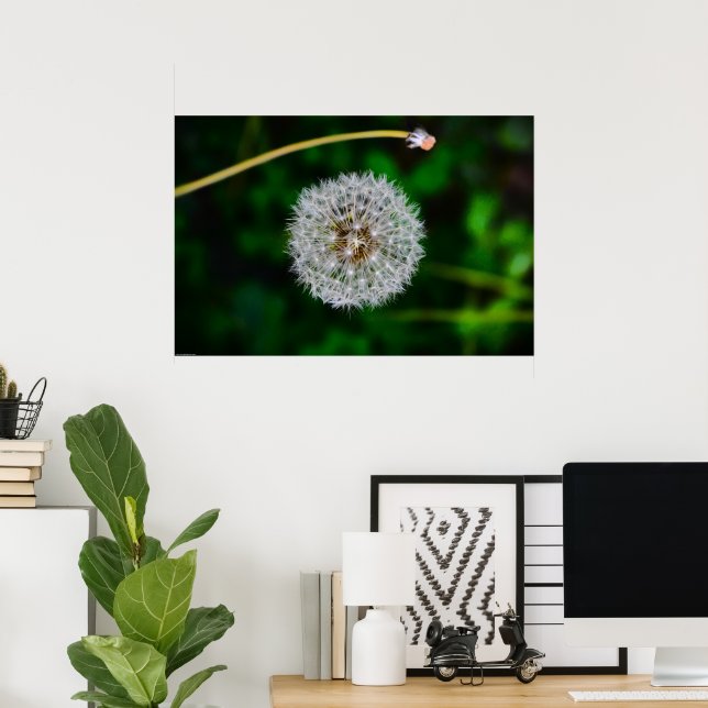 Dandelion, Poster (Heimbüro)