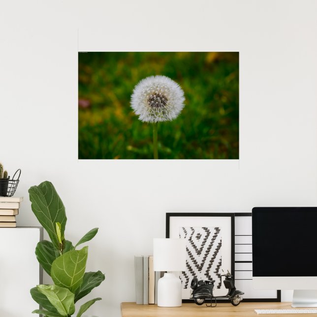 Dandelion, Poster (Heimbüro)