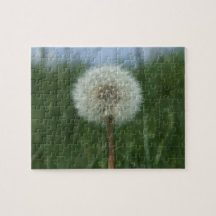 Dandelion Puzzle