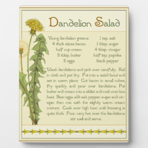 Dandelion Salad - Fotoplatte