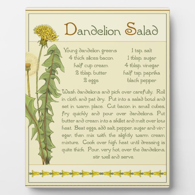 Dandelion Salad - Fotoplatte (Vorderseite)