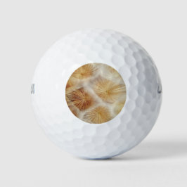 Dandelion Seed Fluff Golfball