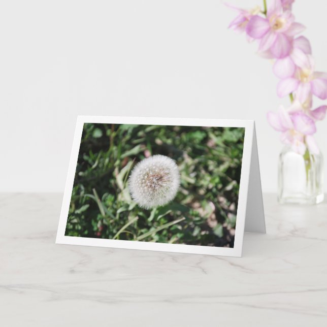 Dandelion Seed Head Blume Karte (Orchidee)