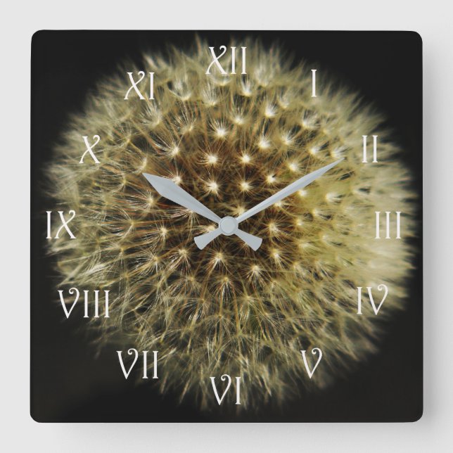 Dandelion Seedhead Weiße Schrift Römischer Fußball Quadratische Wanduhr (Vorderseite)