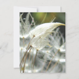 Dandelion Seeds Embrace Sinnliche Natur Postkarte