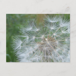 Dandelion Seeds Nah DIY Postcard Feiertagspostkarte