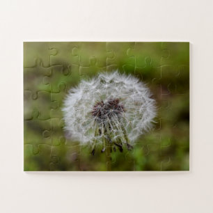 Dandelion Seeds Puzzle