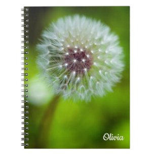 Dandelion Spiralheft Notizblock