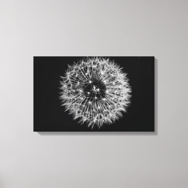 Dandelion Stretched Canvas Print Leinwanddruck (Vorderseite)