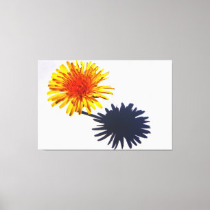 Dandelion und Shadow 60x40 (150x100cm) waccna Leinwanddruck
