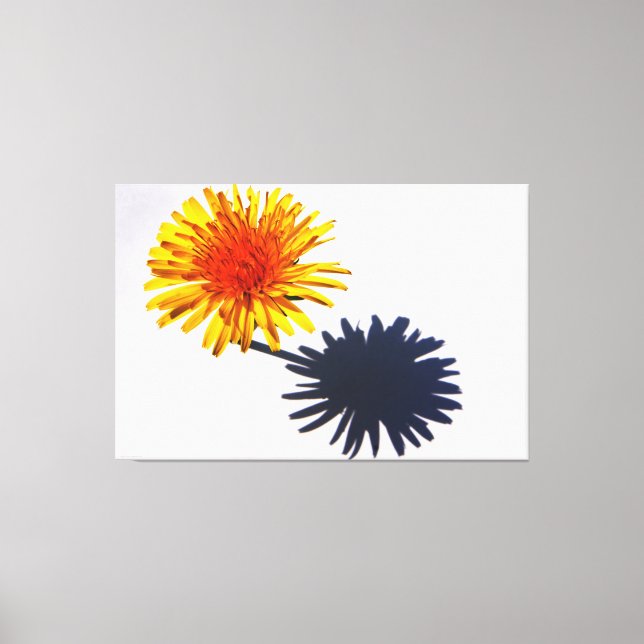 Dandelion und Shadow 60x40 (150x100cm) waccna Leinwanddruck (Vorderseite)