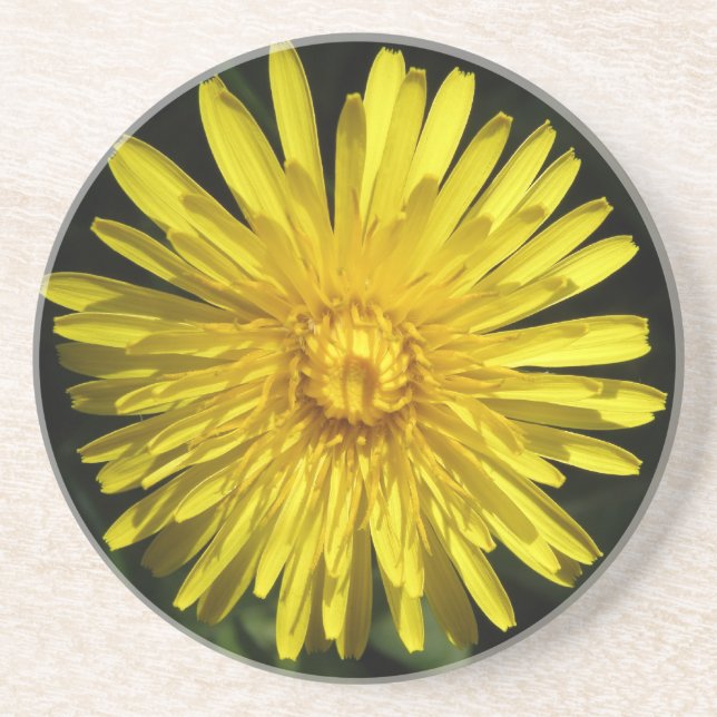 Dandelion Untersetzer (Vorne)