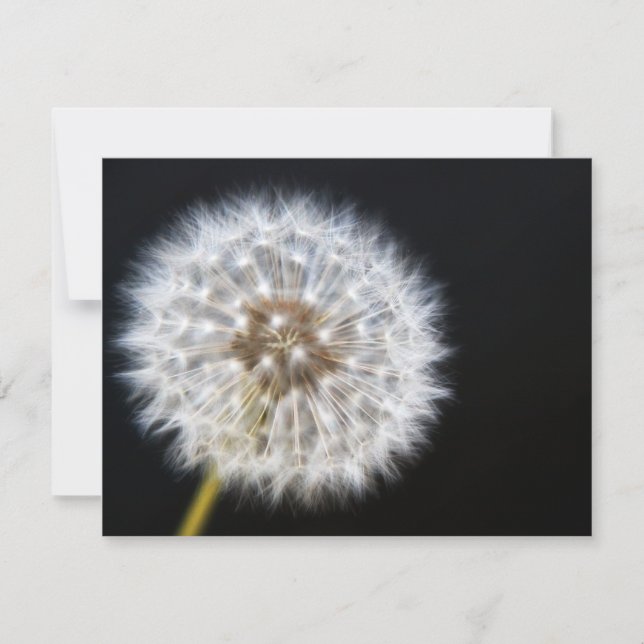 Dandelion Wedding RSVP Karte (Vorderseite)