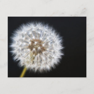 Dandelion Wedding RSVP-Karte RSVP Karte