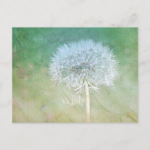 Dandelion Wish Dreamy Design Postkarte