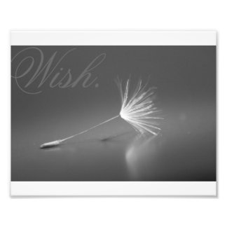 Dandelion Wish Foto