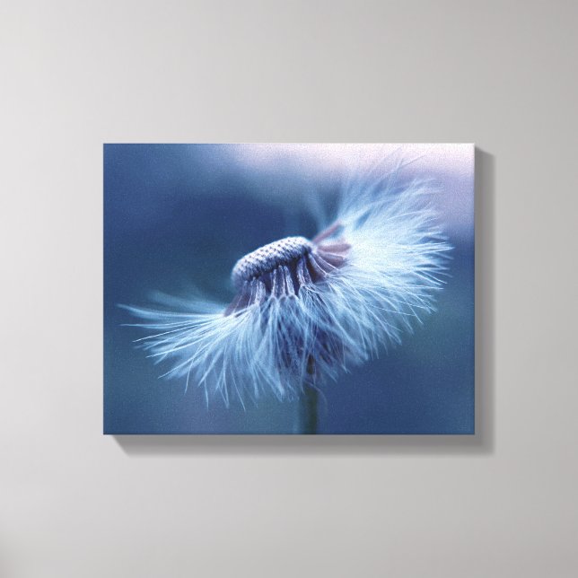 Dandelion Wrapped Canvas Art Leinwanddruck (Vorderseite)