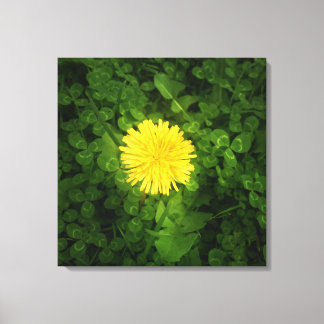 Dandelion Wrapped Canvas Leinwanddruck