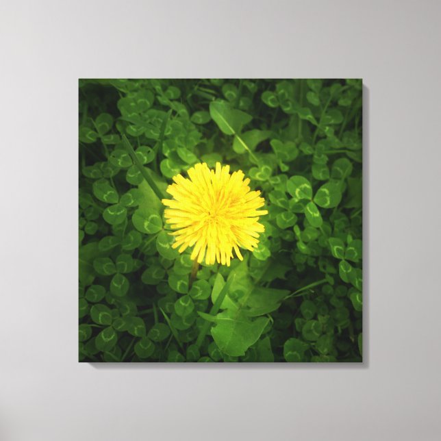 Dandelion Wrapped Canvas Leinwanddruck (Vorderseite)