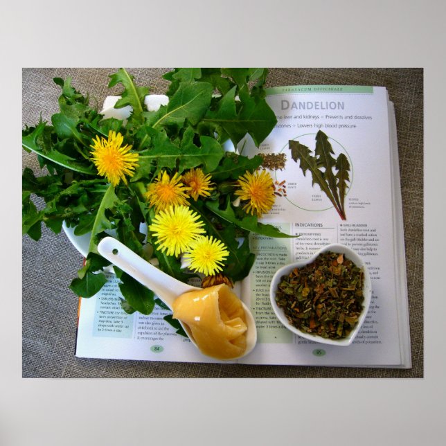 DANDELIONEN FÜR GESUNDHEIT ~ Poster (Vorne)