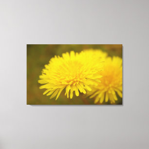 Dandelion's Traum. Hübsche Gelbwild-Blume Leinwanddruck