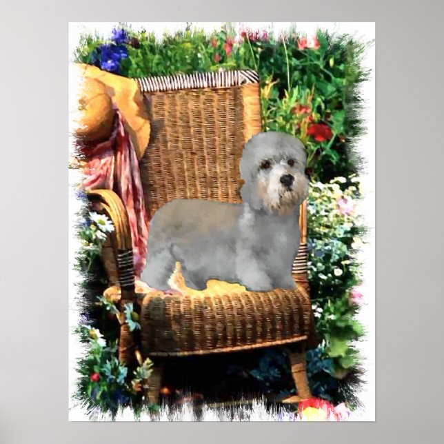 Dandie Dinmont Terrier Art Print Poster (Vorne)