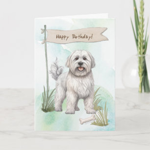 Dandie Dinmont Terrier Dog Under Birthday Sign Karte