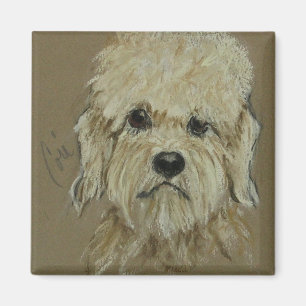Dandie Dinmont Terrier Hundekunst-Magnet Magnet
