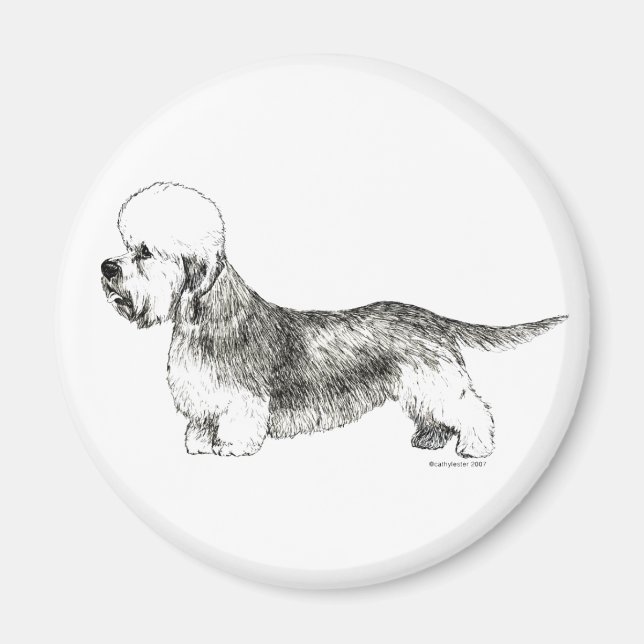 Dandie Dinmont Terrier Magnet (Vorne)