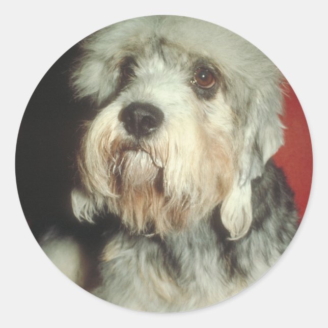 Dandie Dinmont Terrier Runder Aufkleber (Vorderseite)