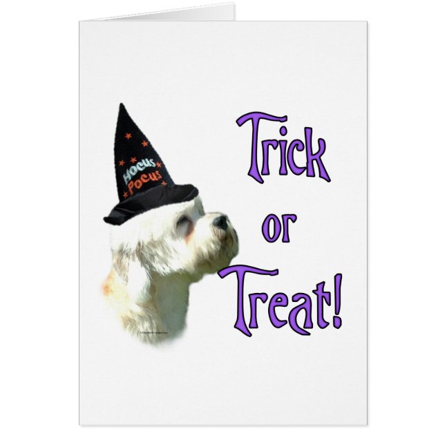 Dandie Dinmont Terrier Trick (Vorne)