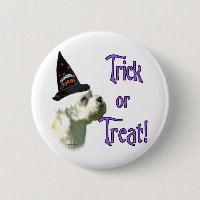 Dandie Dinmont Terrier Trick