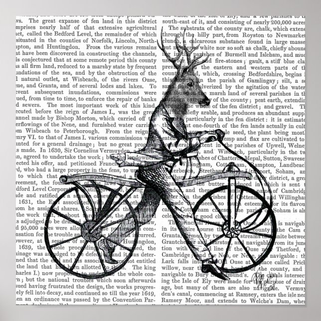 Dandy Deer on Vintag Bicycle Poster (Vorne)