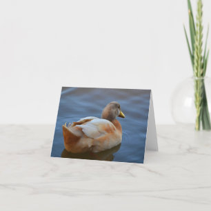 Dandy Duck Note Card Karte