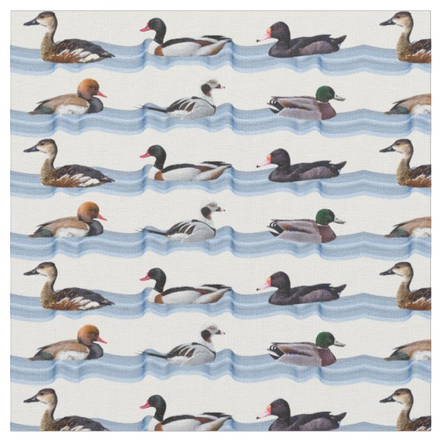 Dandy Ducks Fabric Stoff (Nahaufnahme)