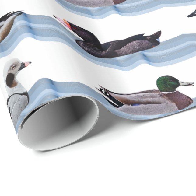 Dandy Ducks Geschenkpapier (Rolleneckpunkt)