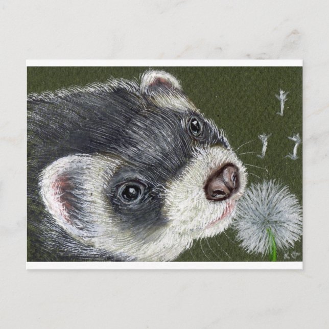 Dandy Ferret Postkarte (Vorderseite)