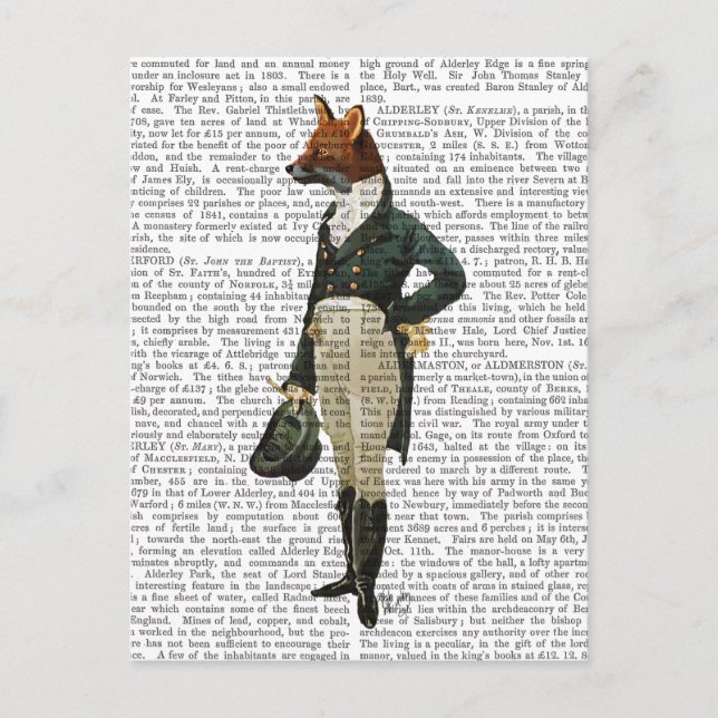 Dandy Fox Full 2 Postkarte (Vorderseite)