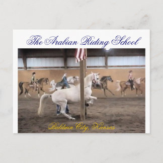 Dandy, levade Postcard Postkarte