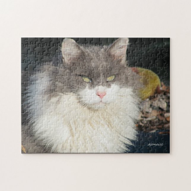 Dandy Lion Puzzle (Horizontal)