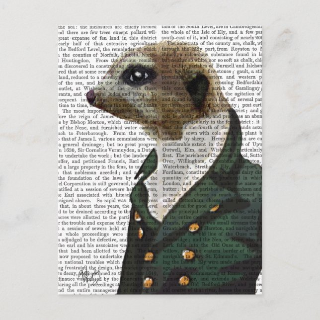 Dandy Meerkat Portrait Postkarte (Vorderseite)