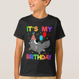 Dandys World Pebble Geburtstagsdekoration für Kind T-Shirt