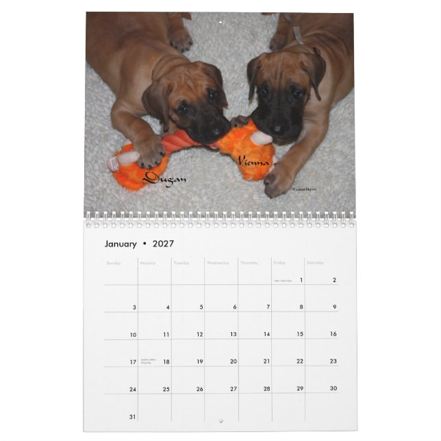 Däne-Angelegenheit - 2012 Welpen Kalender (Jan 2027)