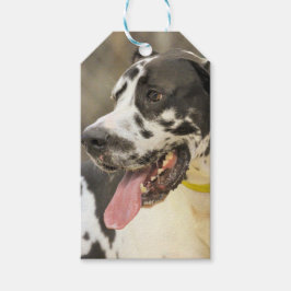 Dane Geschenkanhänger