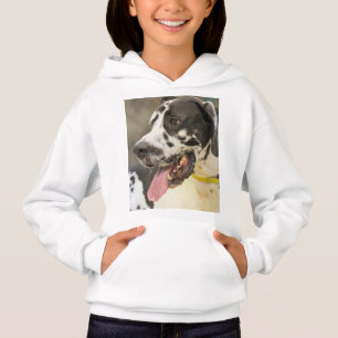Dane Hoodie