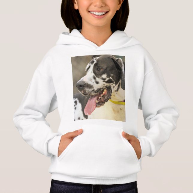 Dane Hoodie (Vorderseite)