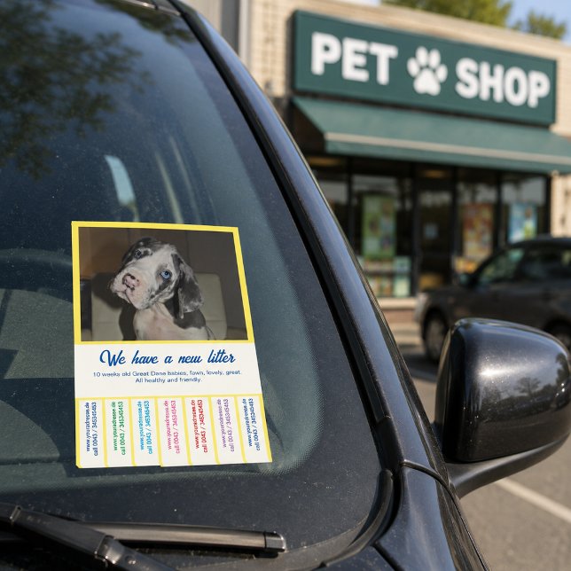 Dane Welpen farbig verkaufen Post-it Klebezettel (Von Creator hochgeladen)