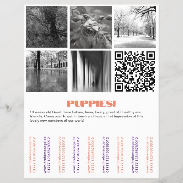Dane Welpen Flyer verkaufen (Vorne)